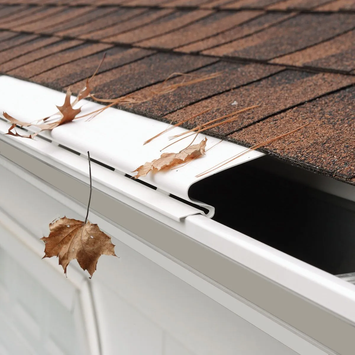 Close view of a reverse-curve gutter guard shedding leaves